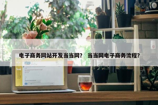电子商务网站开发当当网？ 当当网电子商务流程？