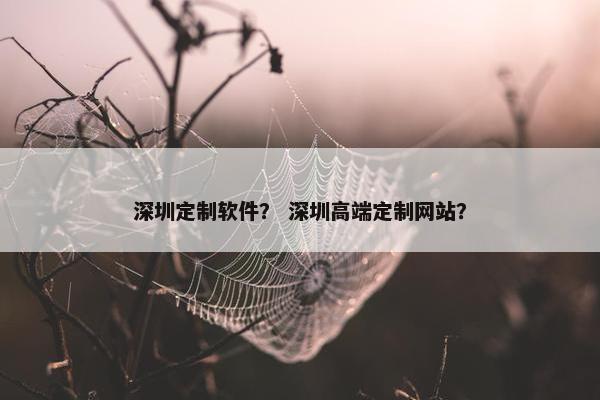 深圳定制软件？ 深圳高端定制网站？