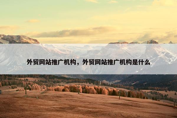 外贸网站推广机构，外贸网站推广机构是什么