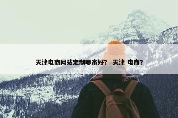 天津电商网站定制哪家好？ 天津 电商？