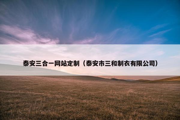 泰安三合一网站定制（泰安市三和制衣有限公司）