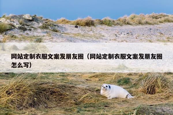 网站定制衣服文案发朋友圈（网站定制衣服文案发朋友圈怎么写）