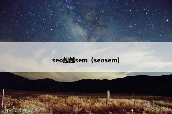 seo超越sem（seosem）