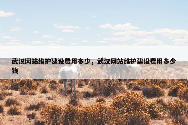 武汉网站维护建设费用多少，武汉网站维护建设费用多少钱