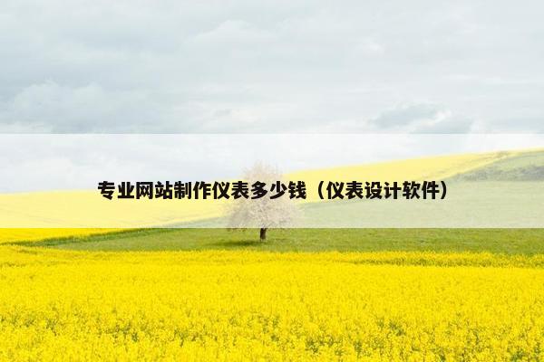 专业网站制作仪表多少钱（仪表设计软件）