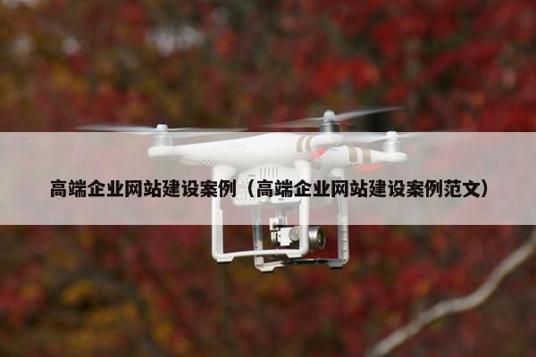 高端企业网站建设案例（高端企业网站建设案例范文）