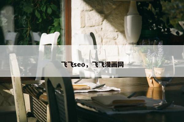 飞飞seo，飞飞漫画网