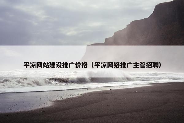 平凉网站建设推广价格（平凉网络推广主管招聘）