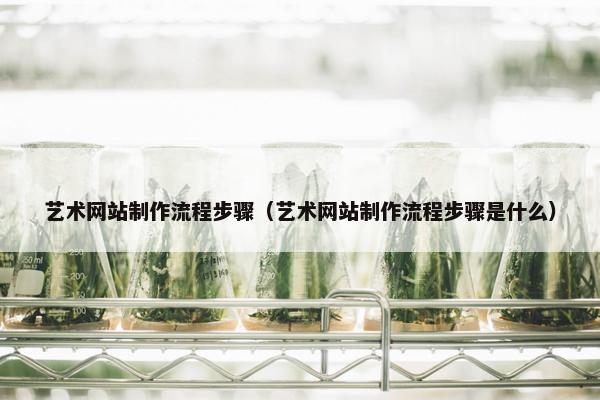 艺术网站制作流程步骤（艺术网站制作流程步骤是什么）