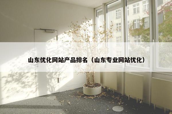 山东优化网站产品排名（山东专业网站优化）