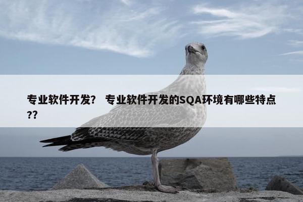 专业软件开发？ 专业软件开发的SQA环境有哪些特点?？