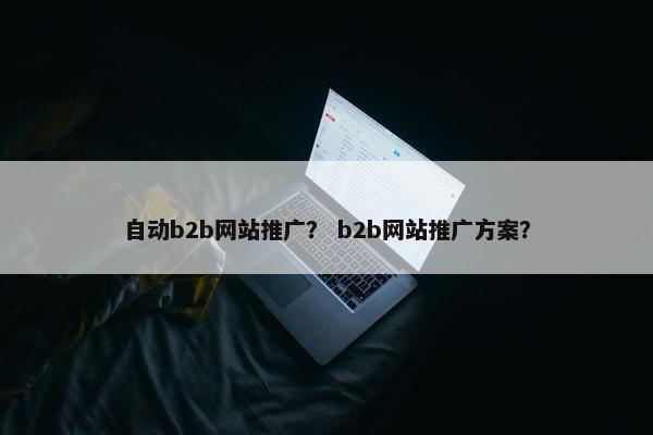自动b2b网站推广？ b2b网站推广方案？
