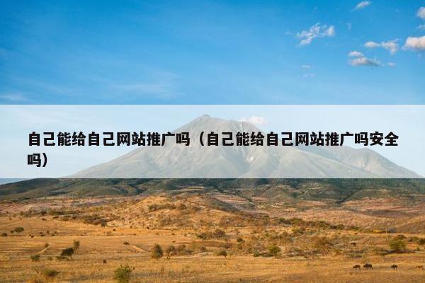 自己能给自己网站推广吗（自己能给自己网站推广吗安全吗）
