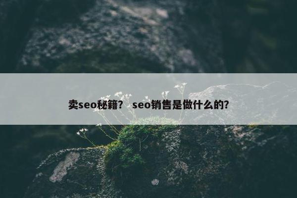 卖seo秘籍？ seo销售是做什么的？