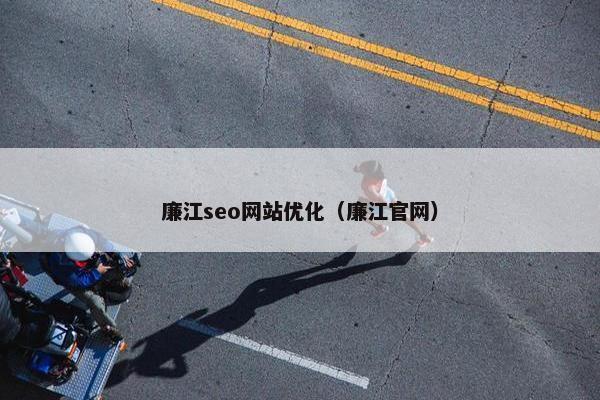 廉江seo网站优化（廉江官网）