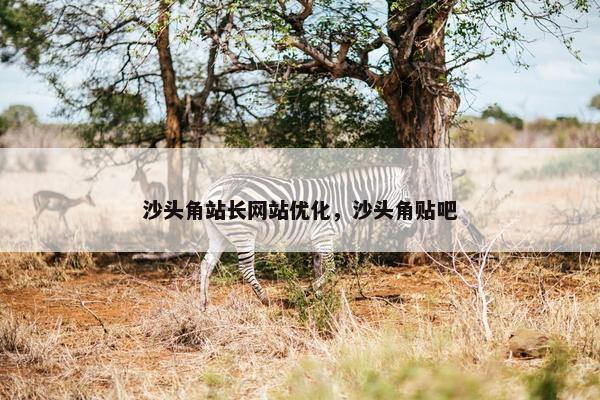 沙头角站长网站优化，沙头角贴吧