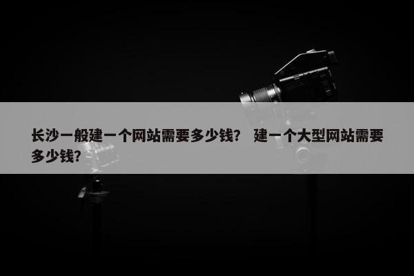 长沙一般建一个网站需要多少钱？ 建一个大型网站需要多少钱？