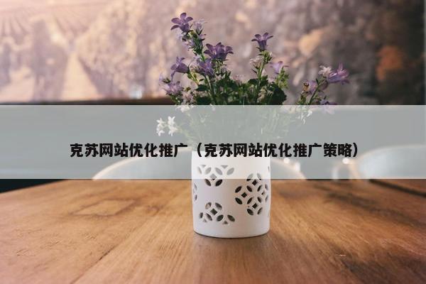 克苏网站优化推广（克苏网站优化推广策略）