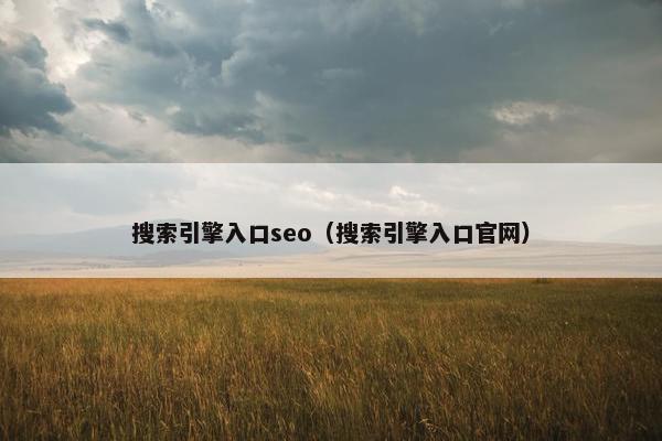 搜索引擎入口seo（搜索引擎入口官网）