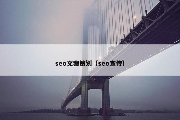 seo文案策划（seo宣传）