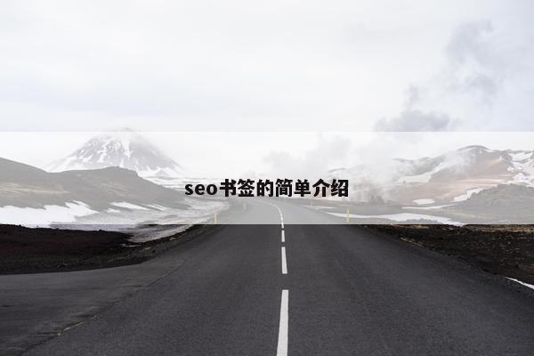 seo书签的简单介绍