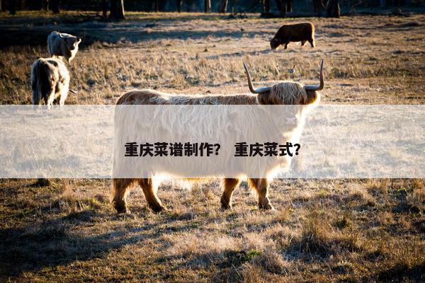 重庆菜谱制作？ 重庆菜式？