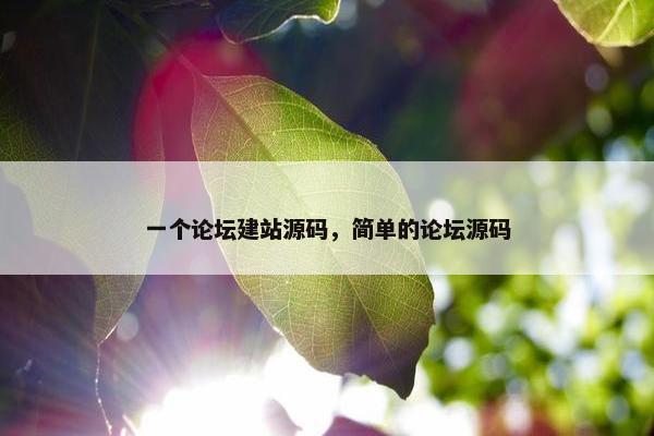 一个论坛建站源码，简单的论坛源码