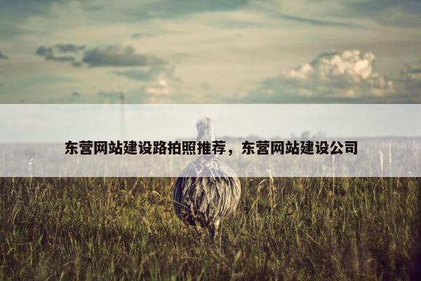 东营网站建设路拍照推荐，东营网站建设公司