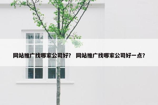网站推广找哪家公司好？ 网站推广找哪家公司好一点？