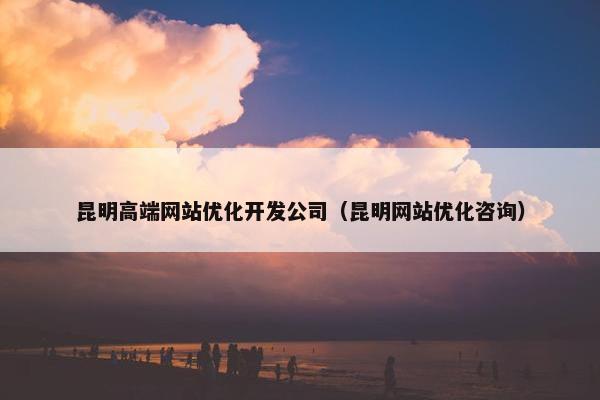昆明高端网站优化开发公司（昆明网站优化咨询）