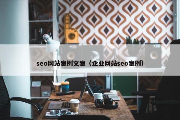seo网站案例文案（企业网站seo案例）