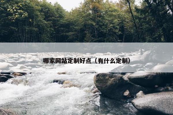 哪家网站定制好点（有什么定制）