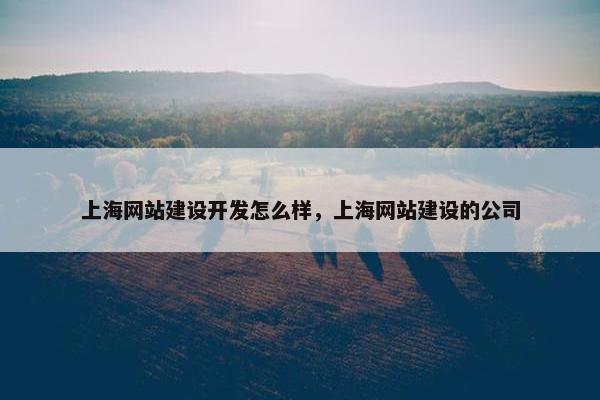 上海网站建设开发怎么样，上海网站建设的公司