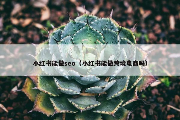 小红书能做seo（小红书能做跨境电商吗）