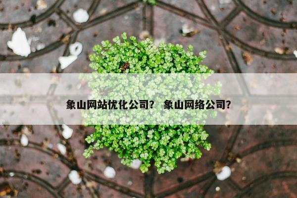 象山网站优化公司？ 象山网络公司？