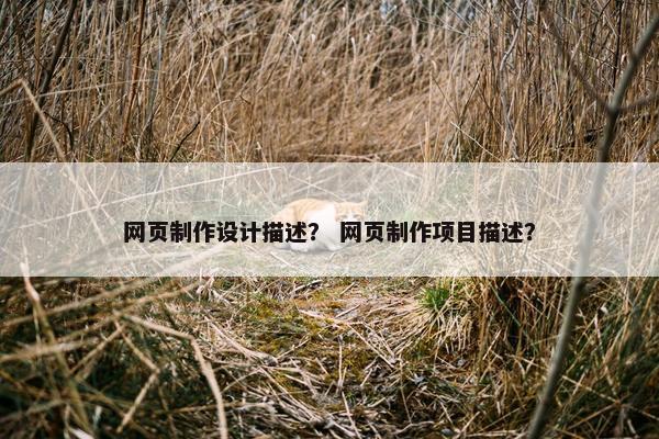 网页制作设计描述？ 网页制作项目描述？