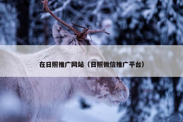 在日照推广网站（日照微信推广平台）