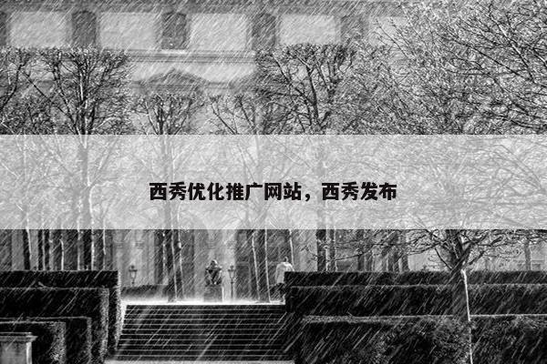 西秀优化推广网站，西秀发布
