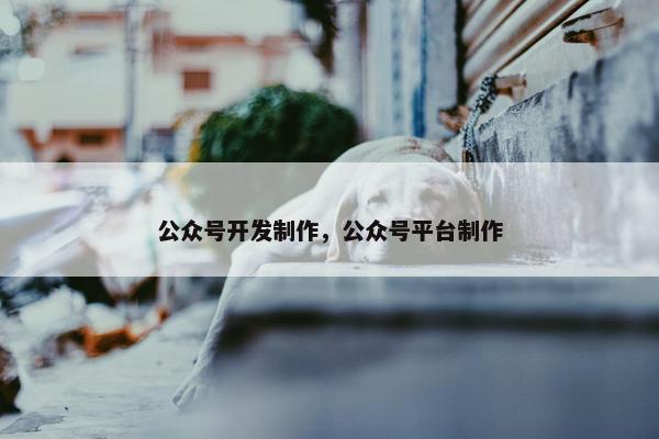 公众号开发制作，公众号平台制作