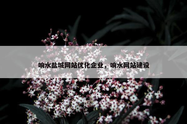 响水盐城网站优化企业，响水网站建设
