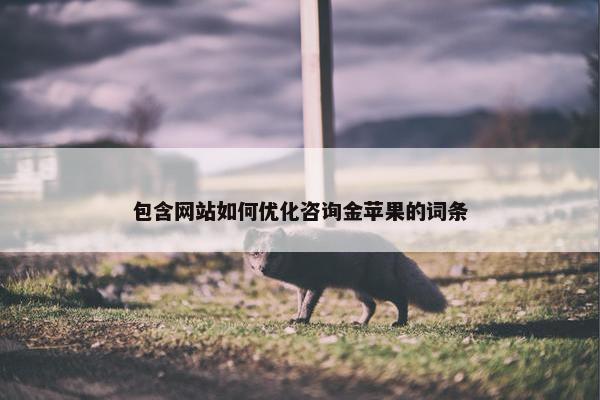 包含网站如何优化咨询金苹果的词条