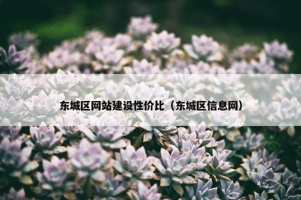东城区网站建设性价比（东城区信息网）