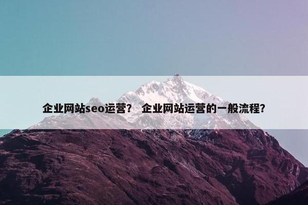 企业网站seo运营？ 企业网站运营的一般流程？