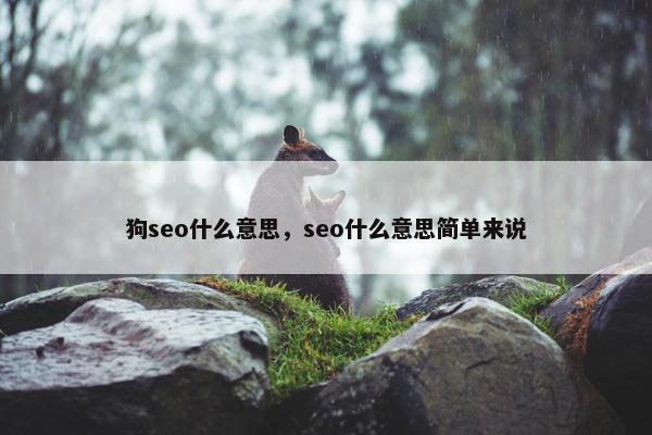 狗seo什么意思，seo什么意思简单来说