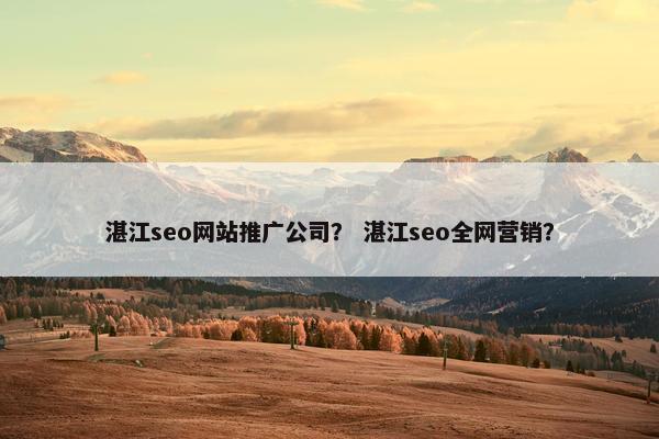 湛江seo网站推广公司？ 湛江seo全网营销？