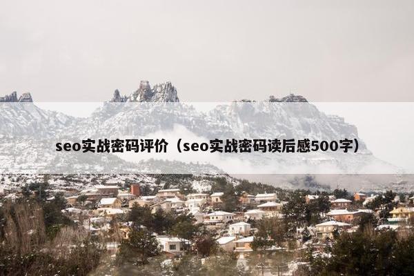 seo实战密码评价（seo实战密码读后感500字）