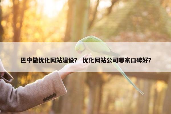 巴中做优化网站建设？ 优化网站公司哪家口碑好？