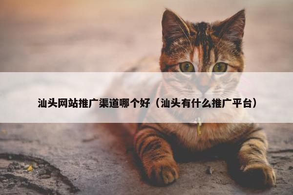 汕头网站推广渠道哪个好（汕头有什么推广平台）