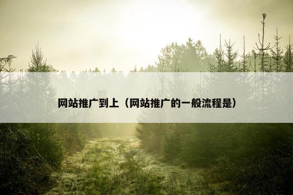 网站推广到上（网站推广的一般流程是）