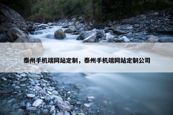 泰州手机端网站定制，泰州手机端网站定制公司